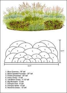 Good plant guide - I'd like a bit of ornamental grasses in the ... Ornamental Grass Landscape, Garden Plot, Grass Design, Grass Garden, Ornamental Grass, Potted Flowers, Grasses Landscaping, Planting Plan, Flowers Delivery