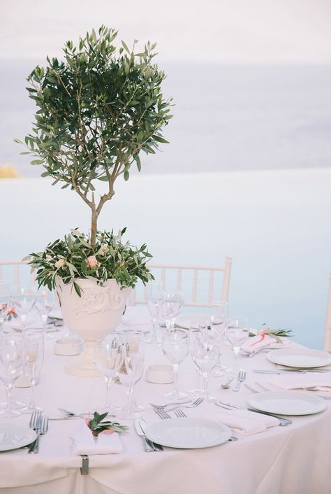 Tree Branch Wedding Decor, Olive Tree Wedding, Greek Wedding Theme, Branches Wedding Decor, Tree Branch Wedding, Branch Centerpieces Wedding, Olive Branch Wedding, Topiary Centerpieces, Greek Islands Wedding