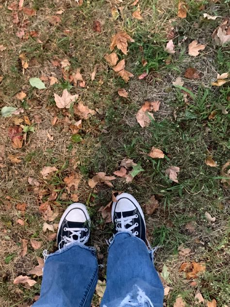 Autumn Converse, Fall Leaves Aesthetic, Fall Converse, Leaves Aesthetic, Aesthetic Converse, Fall Aesthetics, Aesthetic Autumn, Leaves Fall, Fall Pictures