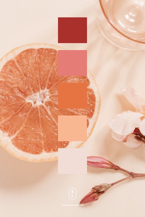 Bright Citrus Color Palette, Pink And Terracotta Color Palette, Grapefruit Colour Palette, Summer Party Color Palette, Orange Aesthetic Color Pallete, Feminine Colors Palette, Bright Orange Palette, Peachy Pink Color Palette, Orange Color Branding