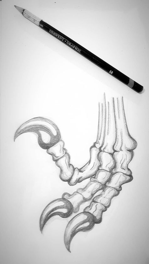 Claws, dinosaur, claw, bones Raptor Claw, Claw Tattoo, Dinosaur Claw, Comic Ideas, Eagle Pictures, Observational Drawing, Paws And Claws, Dinosaur Bones, Doodle Drawings