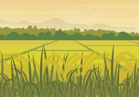 Free Rice Field Illustration Rice Field, Font Illustration, Graphic Design Background Templates, Landscape Illustration, Fade To Black, 그림 그리기, Image Illustration, Prints For Sale, Agriculture