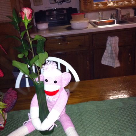 Pink sock monkey Monkey Holding Flower, Sock Monkey Aesthetic, Sock Monkey Blanket Crochet, Crochet Sock Monkey Blanket, Crochet Sock Monkeys, Pink Socks, Sock Monkey, Flower Vases, Socks