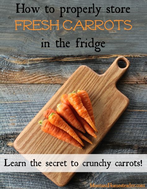 Fresh carrots stored properly in the refrigerator to stay crunchy How To Store Carrots In Refrigerator, Preserving Carrots, Carrot Storage, Garden Carrots, How To Store Carrots, How To Store Tomatoes, Object Detection, Food Shelf Life, Bulk Cooking