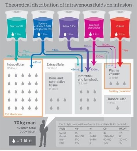 Theoretical distribution of intravenous fluids on infusion. Graphic for Nursing Students. Nursing Cheat, Nursing Information, Iv Fluids, Nursing Mnemonics, Pharmacology Nursing, Nursing School Survival, Critical Care Nursing, Nursing School Studying, Nursing School Tips