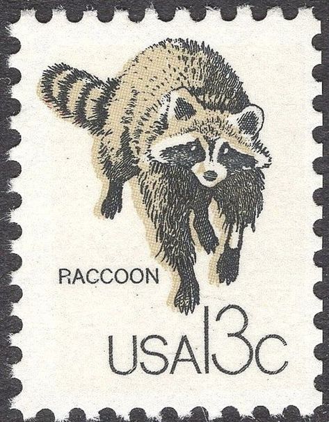 Pack of 10 Vintage Unused US Postage stamps of the:13 cent Raccoon stamp.Issued June 10, 1978Scott catalog #: 1757hThe raccoon is easily recognized by the “mask” of black hair around its eyes, and its bushy ringed tail. American Indians and early settlers used to hunt this animal for fur, and the pelts were also used as money before paper currency was established.You will receive a Pack of 10 Mint unused postage stamps with original gum as issued by the Post Office. These stamps are genuine and North American Animals, Usa Stamps, Postage Stamp Design, Pet Raccoon, Old Stamps, Forever Stamps, Vintage Postage Stamps, Stamp Collection, Vintage Postage