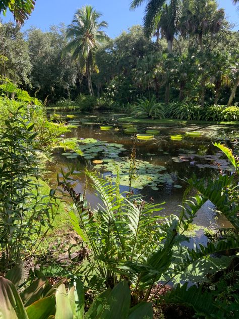 Jungle Fairy Aesthetic, Jungle Asethic, Junglecore Aesthetic, Ecosystem Photography, Botanic Garden Aesthetic, Roman Moodboard, Jungle Lifestyle, Rainforest Aesthetic, Aesthetic Jungle