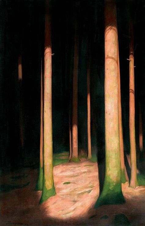 Hans Emmenegger, Figurative Kunst, Greeting Card Collection, Forest Painting, Postcard Collection, Boba Fett, Greetings Card, In The Woods, Landscape Art