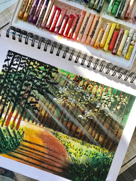 Pentel Oil Pastels Art, Pentel Oil Pastels, Crayon Painting, Oil Pastel Drawings Easy, Oil Pastel Colours, Landscape Pencil Drawings, Color Pencil Illustration, Soft Pastel Art, Oil Pastel Paintings