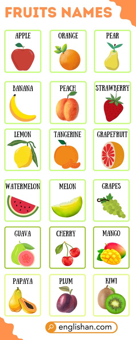 Fruit Names in English Fruits Vocabulary English, Fruit In English, Fruits Pictures For Kids, Fruits Name List, Fruits Name With Picture, Vegetables Names With Pictures, English Kindergarten, Fruits Name, English 101