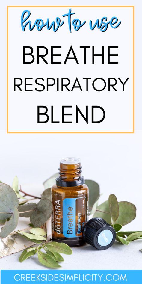 Essential Oil Blends For Respiratory, Doterra Respiratory Blend Diffuser, Breathe Oil Blend, Essential Oils For Shortness Of Breath, Diy Breathe Essential Oil Blend, Doterra Breathe Rollerball Recipe, Essential Oils To Help Breathing, Respiratory Essential Oil Blend, Doterra Breathe Diffuser Blends