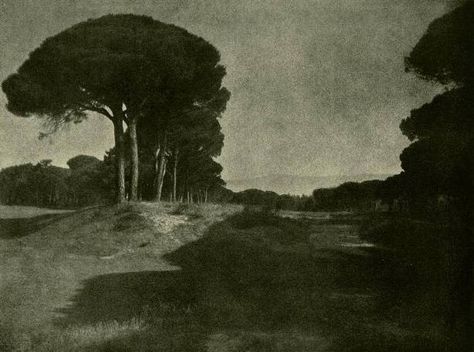 Rudolf Koppitz - Pinienlandschaft (Stone Pines Landscape). Original vintage photometalgraph, 1920s.    Rudolf Koppitz: http://en.wikipedia.org/wiki/Rudolf_Koppitz Rudolf Koppitz, Vintage Nature Photography, Straight Photography, Russian Painting, Old Photographs, Human Figure, Plein Air, Austria, Art Photography