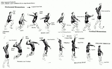 Figure 2: Volleyball Spike Sequence. Get Better At Volleyball, Volleyball Spike, Training Volleyball, Volleyball Rules, Spike Volleyball, Volleyball Tryouts, Youth Volleyball, Volleyball Wallpaper, Volleyball Poses