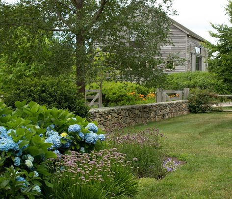 New England Landscaping, New England Backyard, New England Farm, Farmhouse Fixer Upper, Coastal Gardens, Olive Gardens, Farm Stay, Home Landscaping, Landscaping Tips