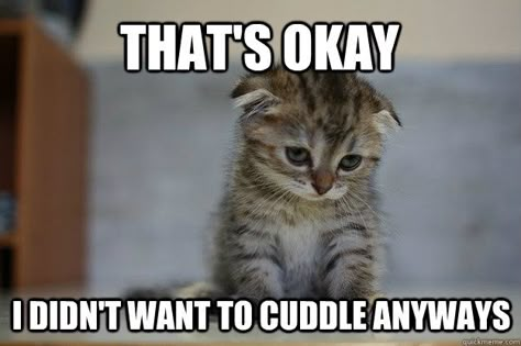 Oh noooo! My heart. Going to cuddle with my baby boy stat!!! 12 Very Sad Kittens That Never Quite Became A Meme Funny Cat Memes, Kittens Funny, Funny Animal Memes, Kitty Kitty, Funny Animal Pictures, Cat Stuff, Cute Kittens, Tabby Cat, Crazy Cat