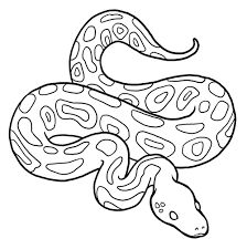 Snake Outline, Storybook Illustration, Snake Coloring Pages, Animal Outline, Traditional Tattoo Designs, Snake Drawing, Farm Animal Coloring Pages, Preschool Coloring Pages, Horse Coloring Pages