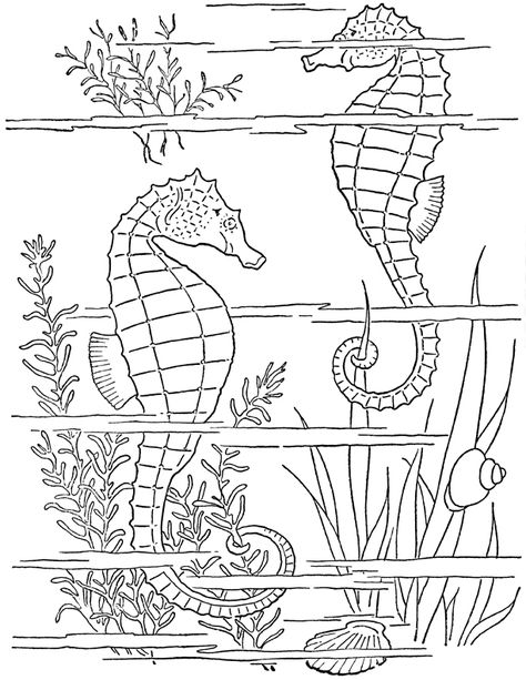 Ocean Coloring Pages Free Printable, Seahorse Coloring Pages, Ocean Coloring Pages, Beach Coloring Pages, Animals Printable, Vintage Coloring Books, Line Art Images, Fish Coloring Page, Detailed Coloring Pages