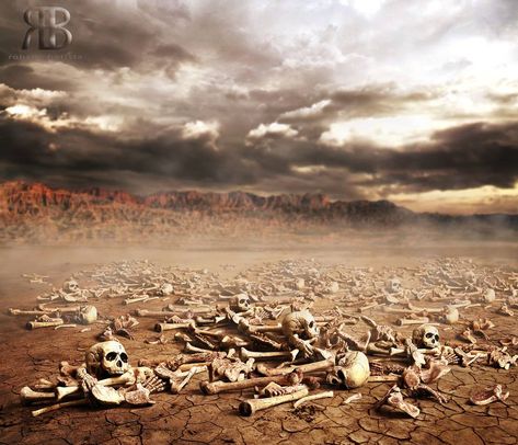 Ezekiel Dry Bones, Dry Bones Come Alive, Valley Of Dry Bones, To The Bone Movie, Church Backgrounds, Dry Bones, First Youtube Video Ideas, Bible Illustrations, Prophetic Art