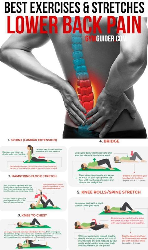 Stretches For Lower Back Pain, Stretches For Lower Back, Bolesti Chrbta, Lower Back Muscles, Lower Back Pain Exercises, Yoga For Back Pain, Lower Back Pain Relief, Nerve Pain Relief, Lower Back Exercises