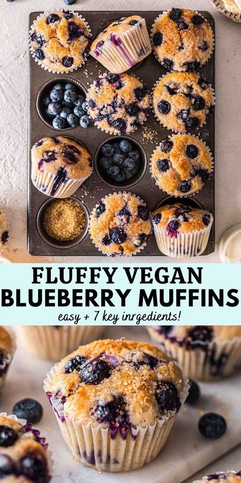 Vegan blueberry muffins which are fluffy, moist and better than your local bakery! Made with just 7 ingredients, 1 bowl and loads of blueberries. Vegan Blueberry Muffin Recipe, Dairy Free Blueberry Muffins, Vegan Breakfast Muffins, Vegan Pumpkin Pie Recipe, Patisserie Vegan, Vegan Blueberry Muffins, Easy Blueberry Muffins, Healthy Blueberry Muffins, Vegan Baking Recipes