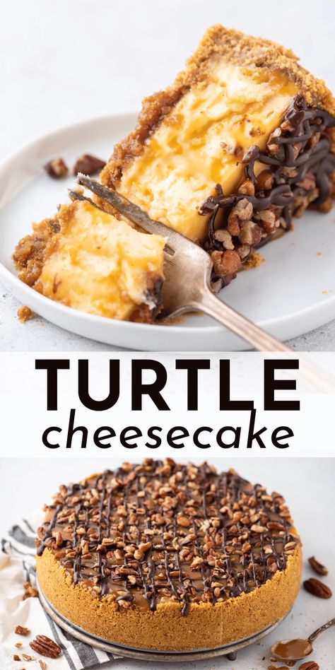 Even if you’ve never baked before, you will become a turtle cheesecake pro when you follow my easy step-by-step recipe and learn my tips for baking a cheesecake in a water bath. Your friends and family will RAVE about this turtle cheesecake recipe! Chocolate Turtle Cheesecake, Turtle Cheesecake Recipe, Turtle Dessert, Peanut Butter Desserts Easy, Turtle Recipe, Turtle Cheesecake Recipes, Cheesecake Desserts Recipes, Chocolate Turtle, Popular Desserts Recipes