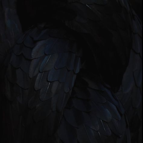 #angel #demon #demoncore #monster #monstercore #black #fallenangel #wings Demoncore Aesthetic, Demon Core, Fumikage Tokoyami, Angel Stories, Rachel Roth, Angel Demon, Iphone Homescreen Wallpaper, Incubus, Black Wings