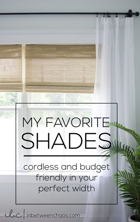 Pull Down Window Shades, Dining Room Blinds Ideas, Best Shades For Windows, Simple Window Coverings, Beachy Window Treatments Coastal Style, Alternatives To Blinds, Blind Ideas For Windows, Shades For Large Windows, Large Window Blinds