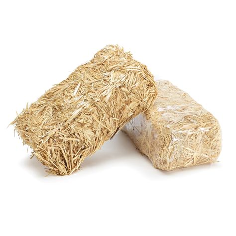 Straw Bales - Sam's Club Haunted Saloon, Miniature Cows, 100 Birthday, Western Themed Wedding, Themes Wedding, Western Theme Party, Straw Bales, Halloween Miniatures, Hay Bales