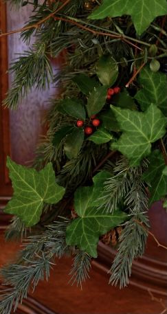 Winter Solstice Traditions, Christmas Greenery, Winter Solstice, Winter Activities, Vines, Christmas Holidays, Christmas Ornaments, Christmas, Plants