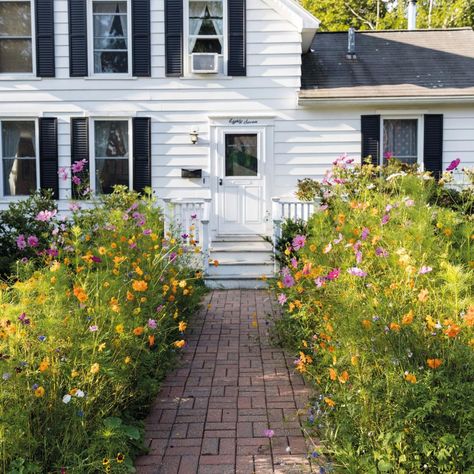 American Meadows, Meadow Garden, Cottages And Bungalows, Cottage Style Decor, Garden Wallpaper, Wildflower Garden, Small Space Gardening, Wildflower Seeds, Garden Cottage