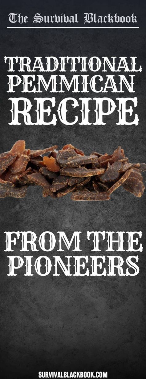 Hard Tack Recipe, Pemmican Recipe, Survival Journal, Jerkey Recipes, Best Survival Food, Emergency Preparedness Food, Native American Food, Beef Jerky Recipes, Jerky Recipes