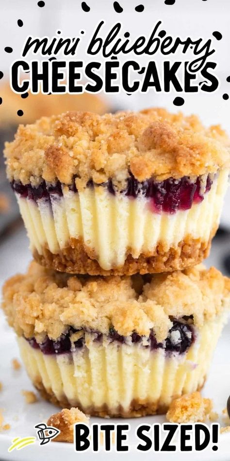 Blueberry Cheesecake Recipe, Crumb Crust, Mini Cheesecake Recipes, Blueberry Topping, Desserts Healthy, Blueberry Desserts, Cheesecake Filling, Cheesecake Desserts, Cheesecake Bites