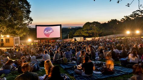 Moonlight Cinema Dogs' Night Out - April 1 | Australian Dog Lover Lego Movie Party, Sutton Park, Outdoor Movie Theater, Open Air Cinema, Outdoor Cinema, Cinema Experience, Centennial Park, Movie Screen, Outdoor Movie