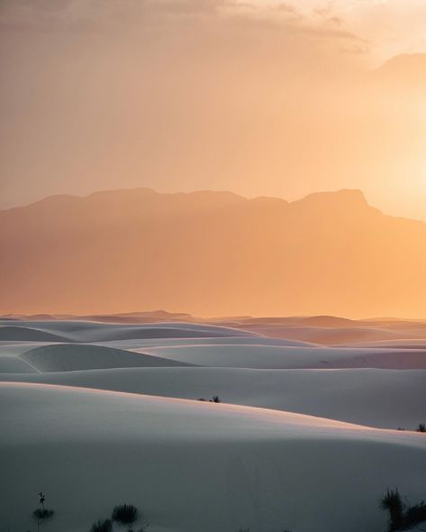 Oh New Mexico ☀️ ⠀⠀⠀⠀⠀⠀⠀⠀⠀ You know it’s called the Land of Enchantment for a reason. From the unique food to the crazy landscapes, New Mexico is a state you can’t sleep on for weddings and elopements. ⠀⠀⠀⠀⠀⠀⠀⠀⠀ Especially White Sands National Park. Think sand dunes with a twist. Gypsum gives the sand its incredible white coloring. Pair that with incredible sunsets and you have a photographers dream. ⠀⠀⠀⠀⠀⠀⠀⠀⠀ Are you an adventurous couple in love with the southwest? This park might be it f... White Sand Dunes New Mexico, Crazy Landscapes, White Sands New Mexico, White Sands National Park, White Sands National Monument, Adventurous Couple, Unique Food, Couple In Love, Land Of Enchantment