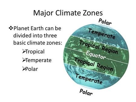 Neuron Diagram, Mythical Garden, Climate Activities, Reading Strategies Anchor Charts, Solar System Facts, English Connection, Geography Notes, Creative Mind Map, Earth Seasons