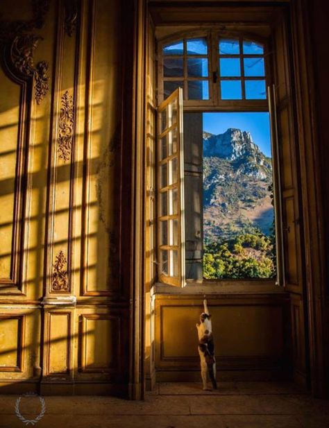 Chateau De Gudanes, Chateaux Interiors, Modern Fairytale, Chateau France, Bts Concept Photo, French Chateau, Peaceful Places, Window View, French Countryside