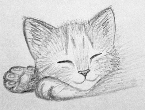 Kitten Sketch, Cats Art Drawing, Kitten Drawing, Cat Sketch, Cute Sketches, Cool Pencil Drawings, Art Tools Drawing, Easy Drawings Sketches, Cute Doodles Drawings