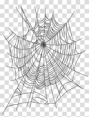 Spider Web Transparent Background, Spider Web Graphic Design, Cartoon Spider Web, Black House Spider, Spider Web Png, Icon Transparent Background, Spider Icon, Spider Cartoon, Spider Web Drawing