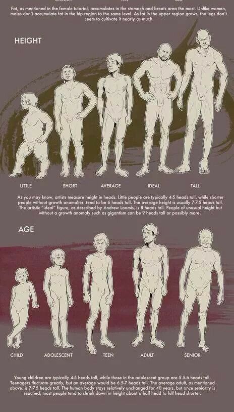 Body Types Tutorial, Male Body Types, Man Anatomy, Anatomy Tutorial, Anatomy Poses, 인물 드로잉, Anatomy Drawing, Poses References, Art Instructions