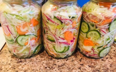 Canning Simple Recipes Food Gardening Preserving and Crafting Pioneer Woman Ree Drummond, Shredded Cabbage, Small Cucumber, Pickled Veggies, Green Pepper, Country Cooking, All Vegetables, Food Garden, Simple Recipes