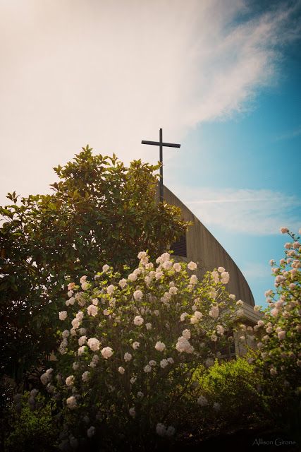 Cross over Franciscan University of Steubenville Chapel Franciscan University Of Steubenville, Faith Images, Cross Aesthetic, Cross Images, Pretty Church, Franciscan University, Aesthetic Bible, Holy Girl, Traditional Catholicism