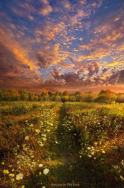 Wisconsin Horizons by Phil Kochphil-koch.artistwebsites.com/ Amazing Scenery, Scenery Pictures, Beautiful Places Nature, Nature Images, Beach Art, Outdoor Photography, Fantasy Landscape, Amazing Nature, Nature Photos