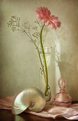 Item References, Vibeke Design, Hyper Realistic Paintings, Seashell Painting, Still Life Flowers, Still Life Photos, Painting Flowers, Painting Still Life, Still Life Art