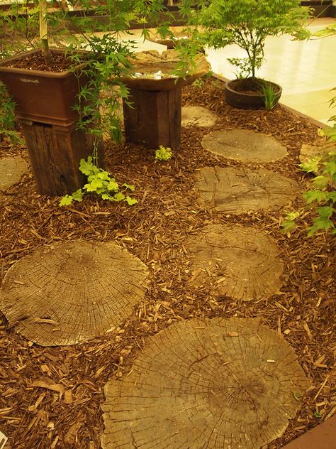 Nice paving using tree trunk slices by dewelch, via Flickr. Awesome way to reuse a tree after you've had to cut it down. Ideas For Tree Trunks, What To Do With Old Tree Trunks, Using Tree Trunks And Lovs To Create Spaces, Decking Around Tree Trunk, Stones In The Garden, Tree Trunk Seats Wood Stumps, Tree Trunk Slices, Brookies Cookies, Minnesota Garden