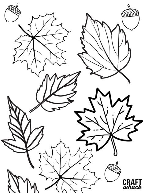 Beautiful Zentangle Fall Leaves DIY Fall Leaves Line Art, Fall Leaves Silhouette, Types Of Leaves Drawing, Doodle Fall, Fall Leaves Drawing, Fall Leaves Tattoo, Happy Birthday Doodles, Leaf Print Art, Notan Art