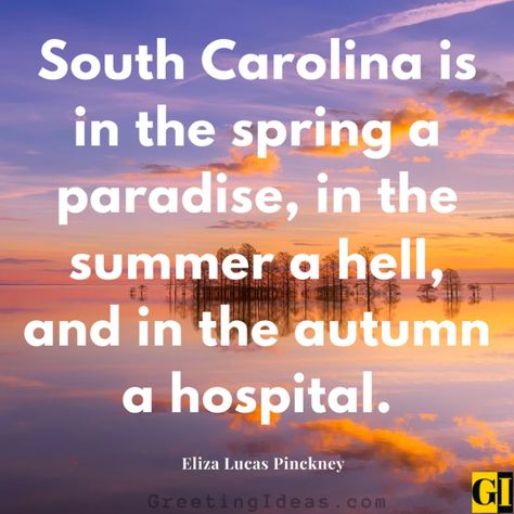 South Carolina Quotes Images Greeting Ideas 3 South Carolina Quotes, Greeting Ideas, Tim Scott, Afternoon Quotes, Southern Culture, Social Circles, Bluffton Sc, Sayings And Phrases, Famous Authors