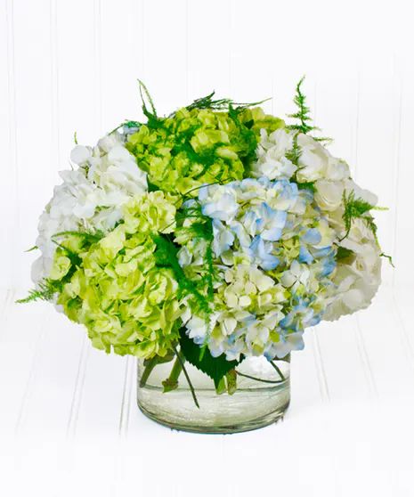 New Baby Flowers White Plains & Yonkers, New York - Same Day Flower Delivery Fresh Flower Market, Hydrangea Blue, New Baby Flowers, Green Bouquet, Green Hydrangea, Bright Wedding, White Plains, Same Day Flower Delivery, Language Of Flowers