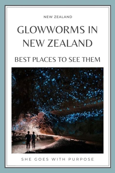 Glowworms in New Zealand | Best Places to See Them For Cheap or Free from She Goes With Purpose | From adventurous abseiling tours to free side-of-the-road grottos on both the North Island and South Island, this post has all the best places to see incredible glowworms in New Zealand. | where to see glowworms, things to do in new zealand, new zealand bucket list, glowworm caves Bay Of Islands New Zealand, Glowworm Caves New Zealand, Hobbiton New Zealand, South New Zealand, Glowworm Caves, North Vs South, Glow Worms, Nz South Island, Nelson New Zealand