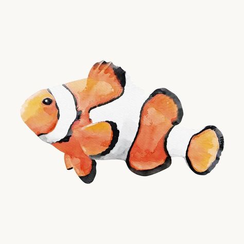 Nemo Fish, Illustration Fish, Easy Drawing Step By Step, Drawn Fish, Drawing Step By Step, Orange Fish, Watercolor Fish, Drawing Step, Fish Illustration