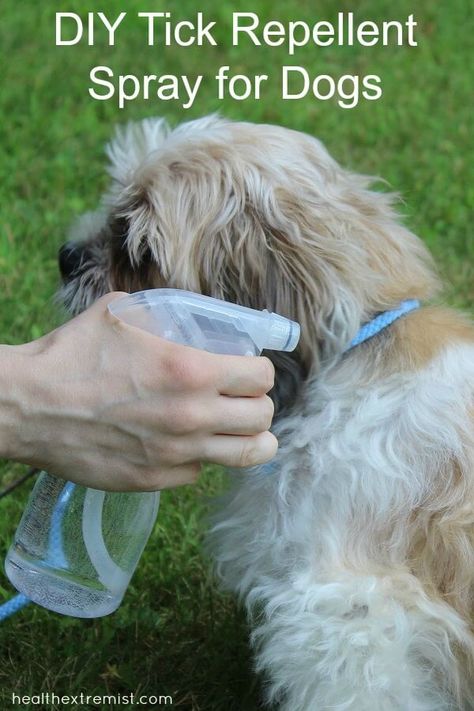 Diy Tick Repellent, Homemade Tick Repellent, Tick Repellent For Dogs, Flea Spray For Dogs, Tick Spray For Dogs, Natural Tick Repellent, Flea Repellent, Pet Remedies, Essential Oils Dogs